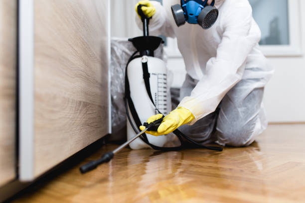 Best Affordable Pest Control Services  in Lyons, KS