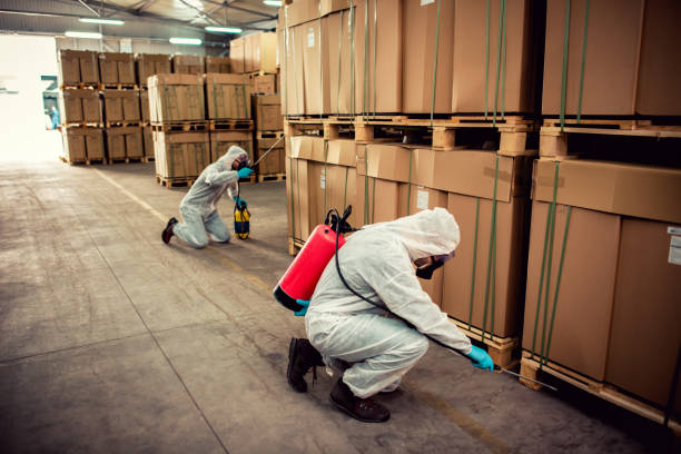 Best Cockroach Control Services  in Lyons, KS