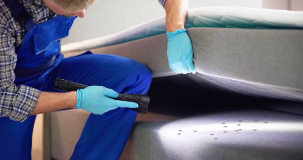 Best Pest Control for Homes  in Lyons, KS