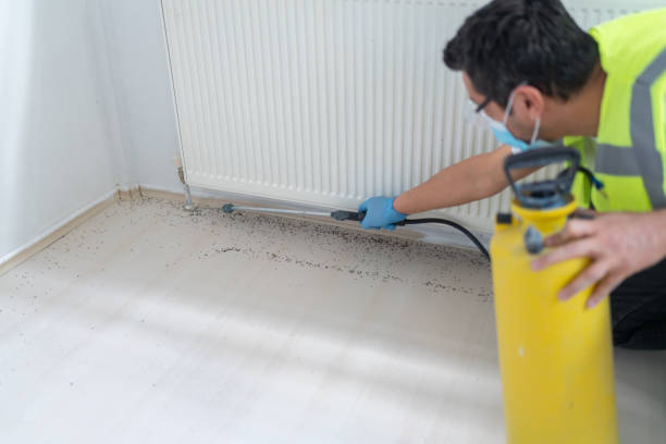 Best Affordable Pest Control Services  in Lyons, KS