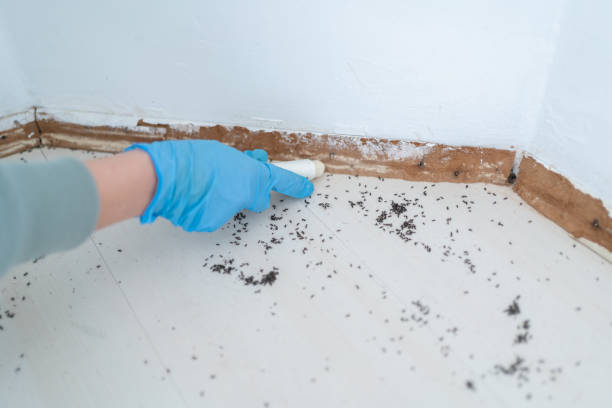 Best Emergency Pest Control  in Lyons, KS