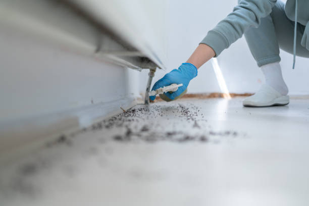 Best Pest Control Near Me in Lyons, KS