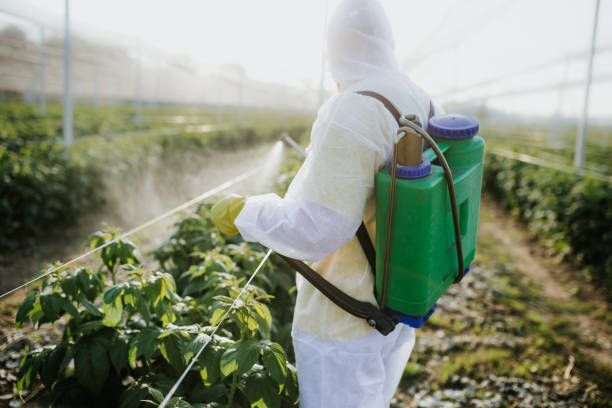 Best Commercial Pest Control Services  in Lyons, KS